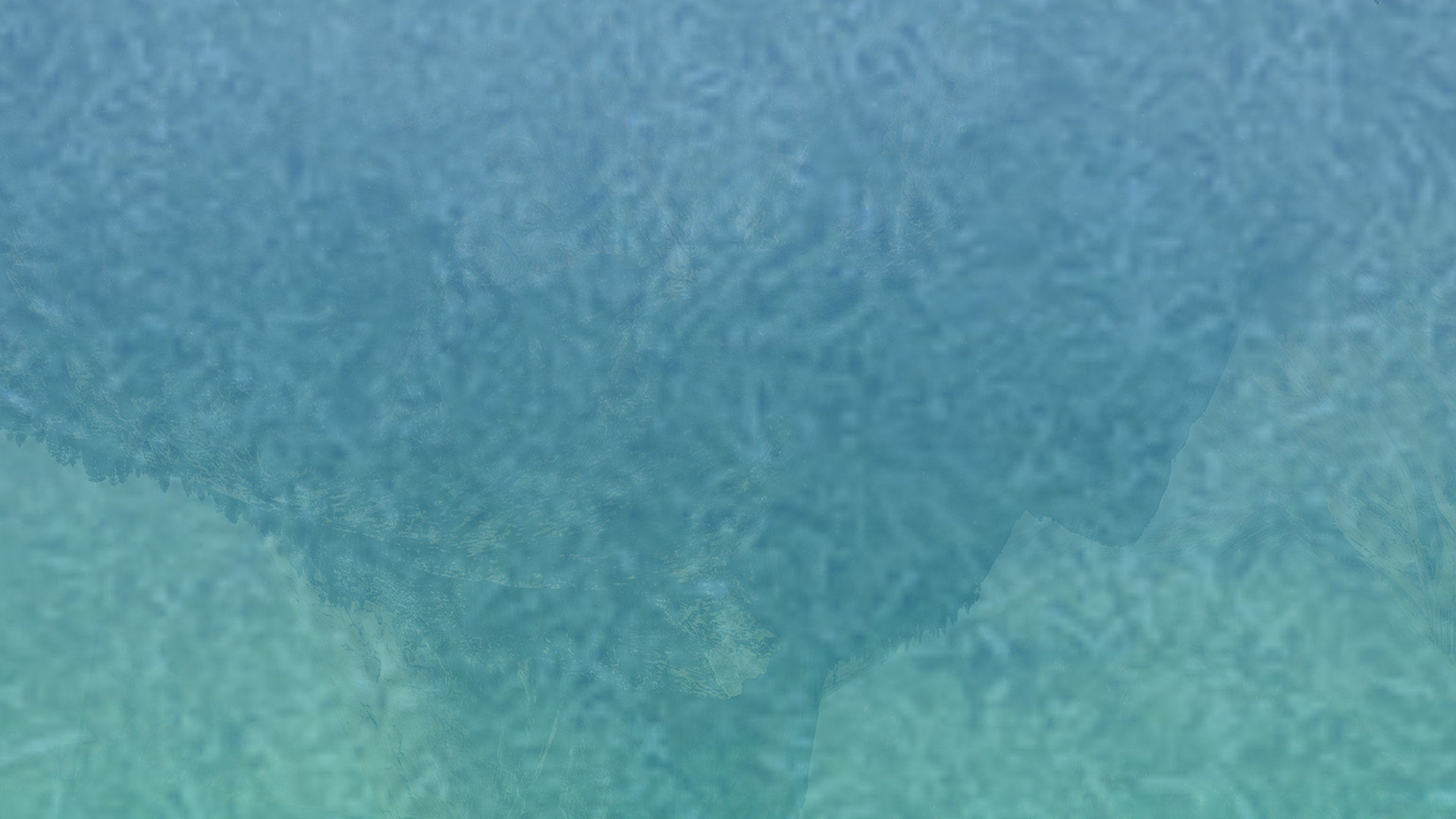 催收短信电话轰炸机